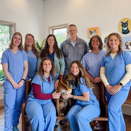 Towne Square Animal Clinic team