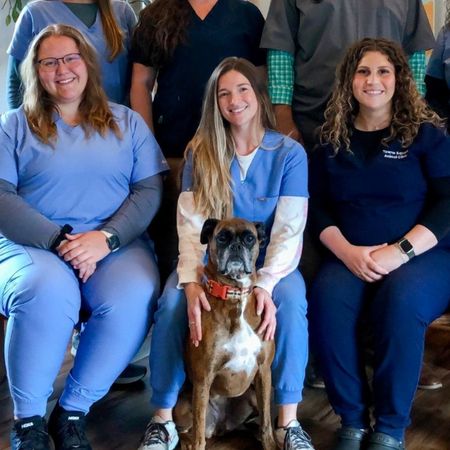 Towne Square Animal Clinic team image